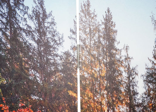 Cosmo Casa - Fotoscherm Akoestisch - Roomdivider & Privacyscherm - 180×204 cm