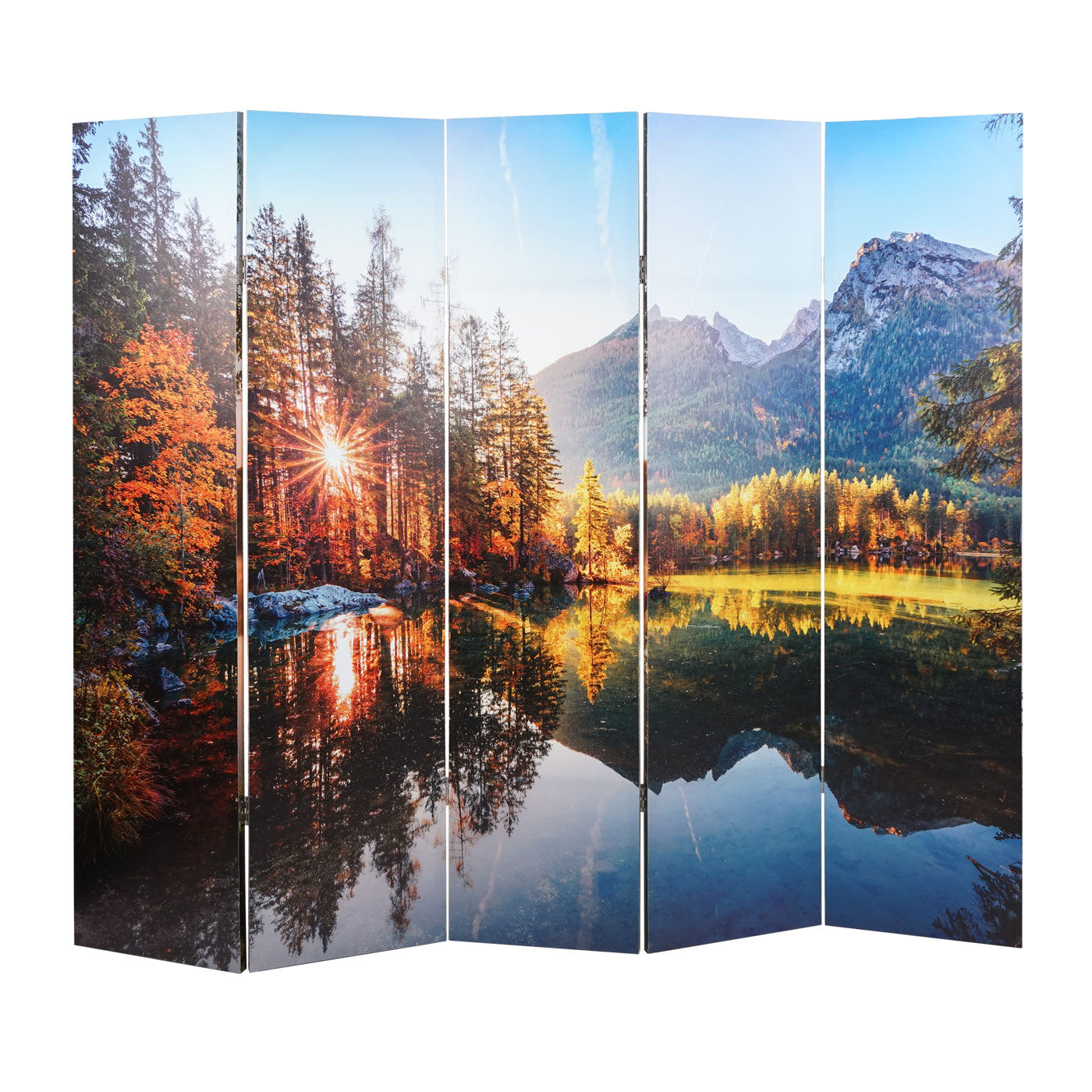 Cosmo Casa - Fotoscherm Akoestisch - Roomdivider & Privacyscherm - 180×204 cm