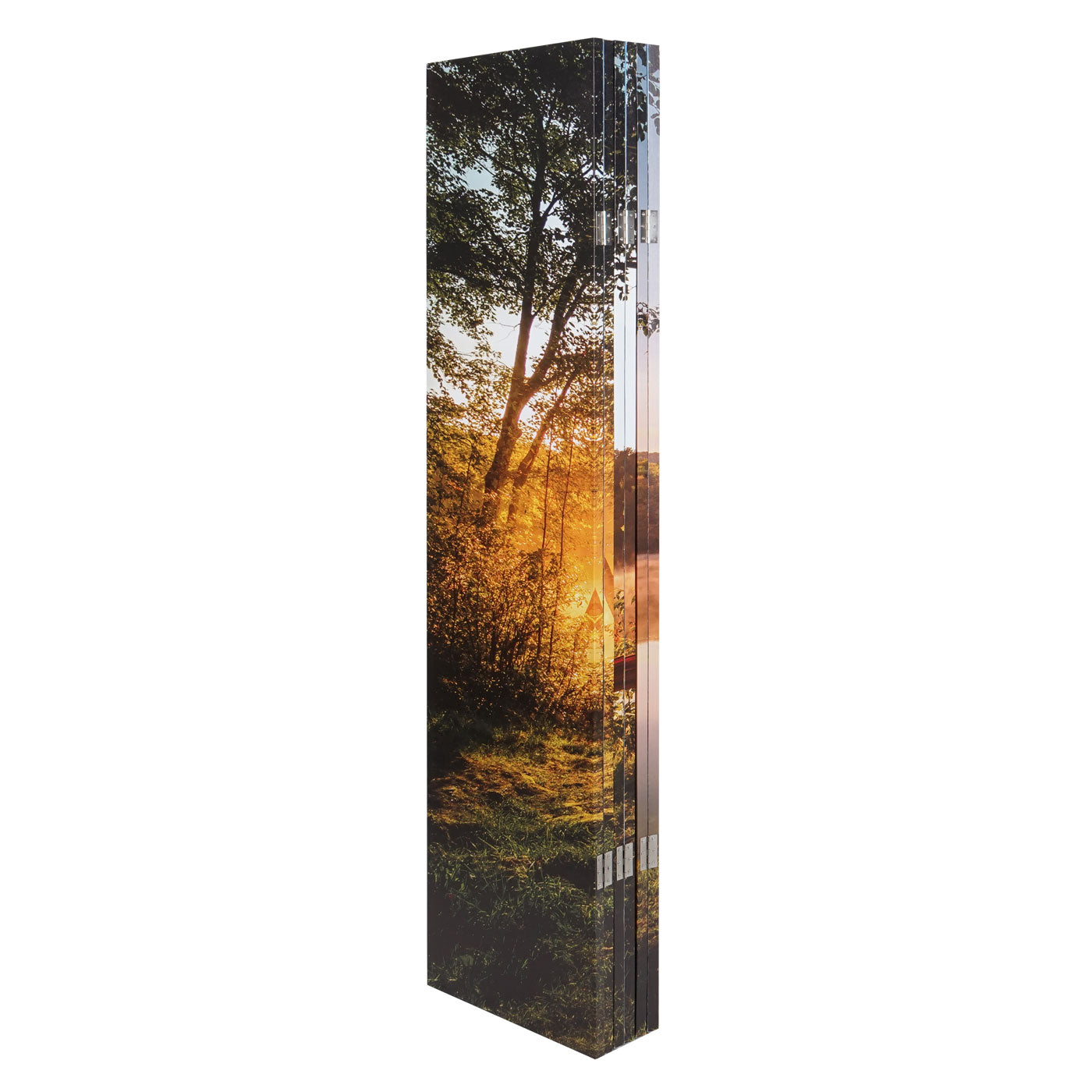 Cosmo Casa - Fotoscherm Akoestisch - Roomdivider & Privacyscherm - 180×245 cm