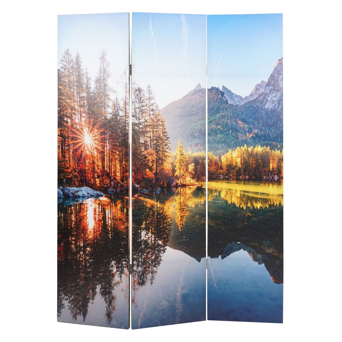 Cosmo Casa - Fotoscherm Akoestisch - Roomdivider & Privacyscherm - 180×122 cm