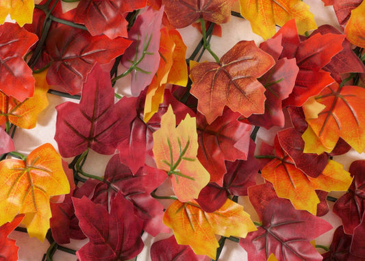 Cosmo Casa - Balkon Inkijkbescherming - Winddichte Bekleding - Esdoorn Rood-Geel - 300x150 cm