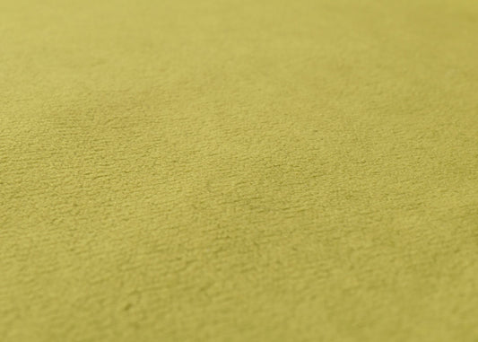 Cosmo Casa - Vloerstoel - Inklapbaar met 6 Relaxposities - Fluwelen Frame - Groen