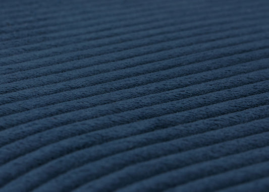 Cosmo Casa - TV Relaxstoel - Sta-Op Functie - Metaal - Textielkoord - Blauw