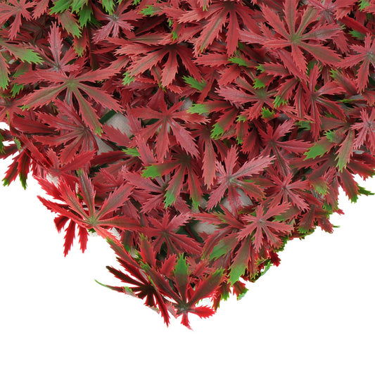 Cosmo Casa - Wandtegel - Privacyscherm terrasbalkon - Kunststof - Esdoornrood - 4×50×50 cm (1 m)