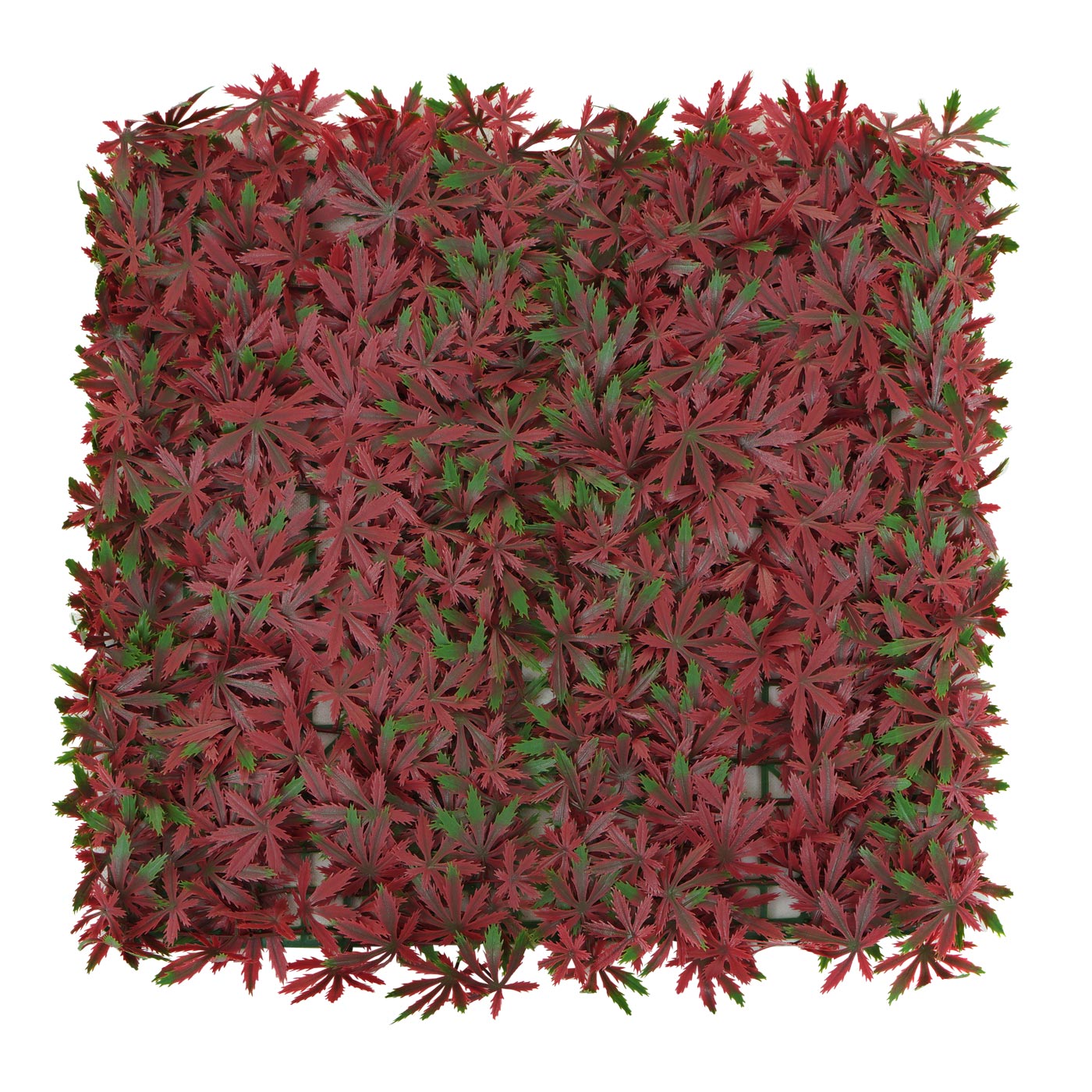 Cosmo Casa - Wandtegel - Privacyscherm terrasbalkon - Kunststof - Esdoornrood - 4×50×50 cm (1 m)