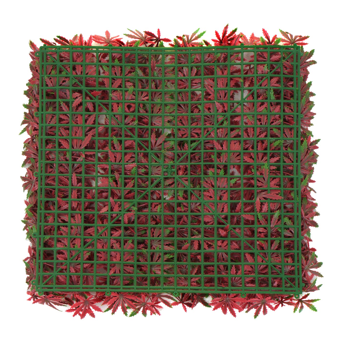 Cosmo Casa - Wandtegel - Privacyscherm terrasbalkon - Kunststof - Esdoornrood - 4×50×50 cm (1 m)