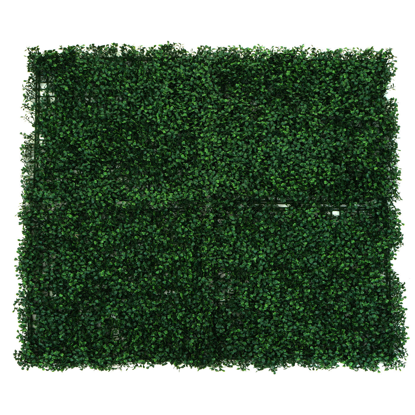 Cosmo Casa - Wandtegel - Privacyscherm terrasbalkon - Kunststof - Buxusgroen - 4×50×50 cm (1 m)