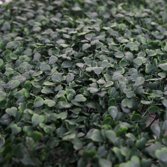 Cosmo Casa - Wandtegel - Privacyscherm terrasbalkon - Kunststof - Buxusgroen - 4×50×50 cm (1 m)