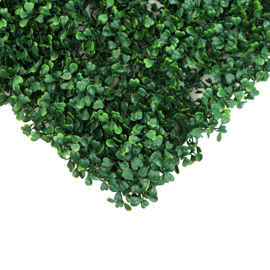 Cosmo Casa - Wandtegel - Privacyscherm terrasbalkon - Kunststof - Buxusgroen - 4×50×50 cm (1 m)