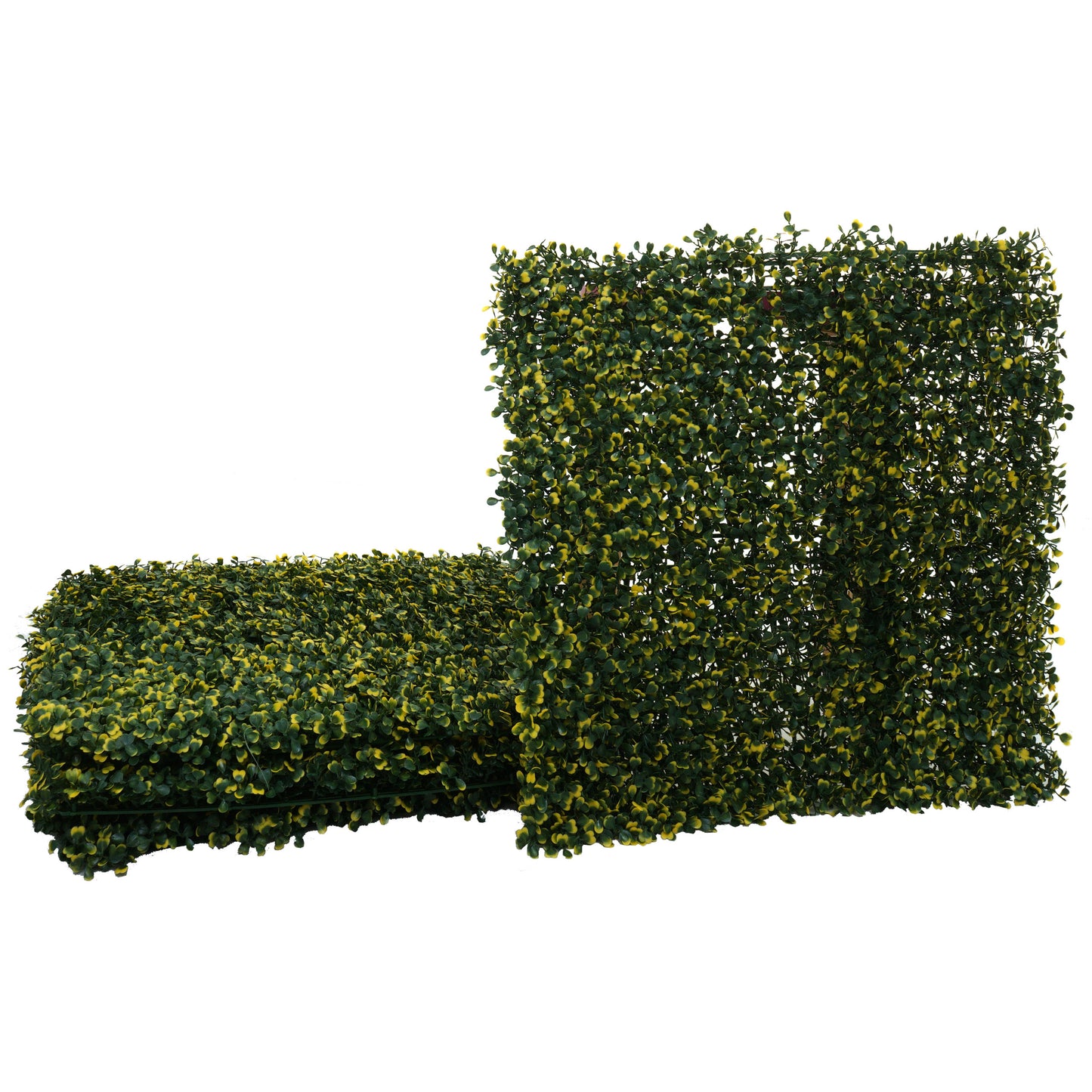 Cosmo Casa - Wandtegel - Privacyscherm terrasbalkon - Kunststof - Buxus groen-geel - 4×50×50 cm (1 m)