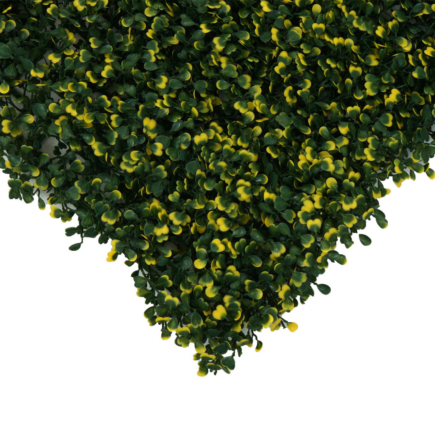 Cosmo Casa - Wandtegel - Privacyscherm terrasbalkon - Kunststof - Buxus groen-geel - 4×50×50 cm (1 m)