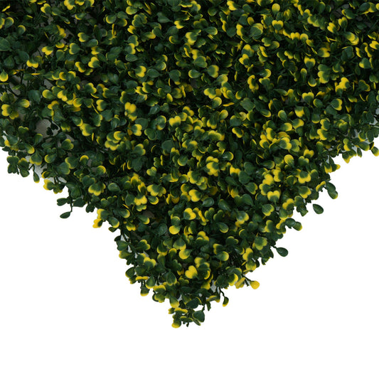 Cosmo Casa - Wandtegel - Privacyscherm terrasbalkon - Kunststof - Buxus groen-geel - 4×50×50 cm (1 m)
