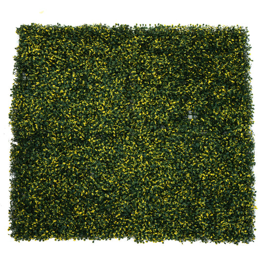 Cosmo Casa - Wandtegel - Privacyscherm terrasbalkon - Kunststof - Buxus groen-geel - 4×50×50 cm (1 m)