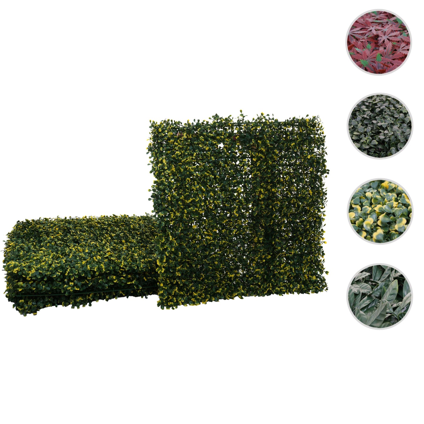 Cosmo Casa - Wandtegel - Privacyscherm terrasbalkon - Kunststof - Buxus groen-geel - 4×50×50 cm (1 m)