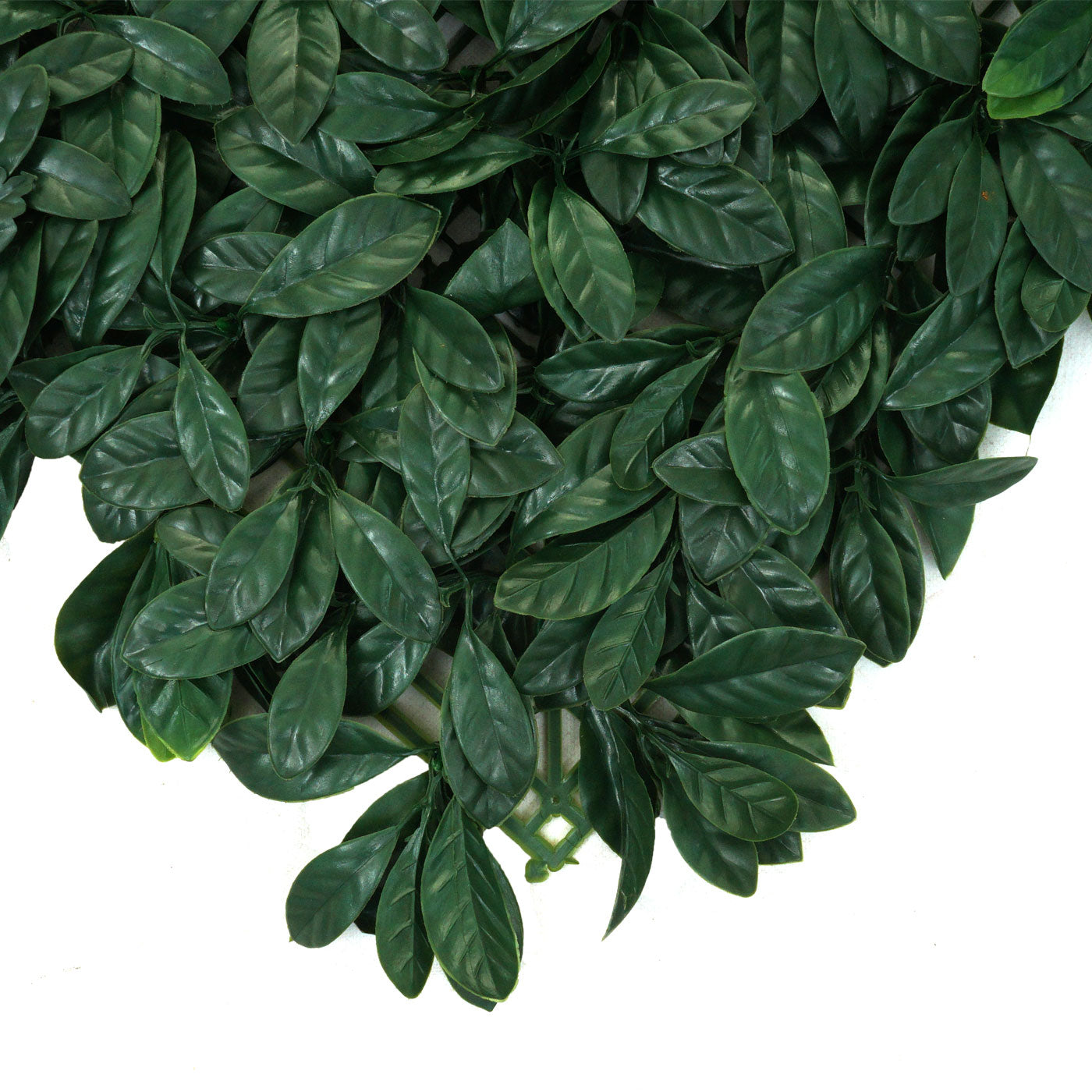 Cosmo Casa - Wandtegel - Privacyscherm terrasbalkon - Kunststof - Lauriergroen - 4×50×50 cm (1 m)