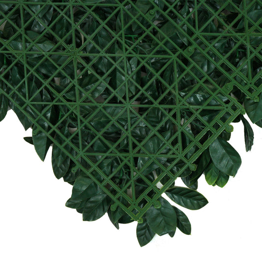 Cosmo Casa - Wandtegel - Privacyscherm terrasbalkon - Kunststof - Lauriergroen - 4×50×50 cm (1 m)