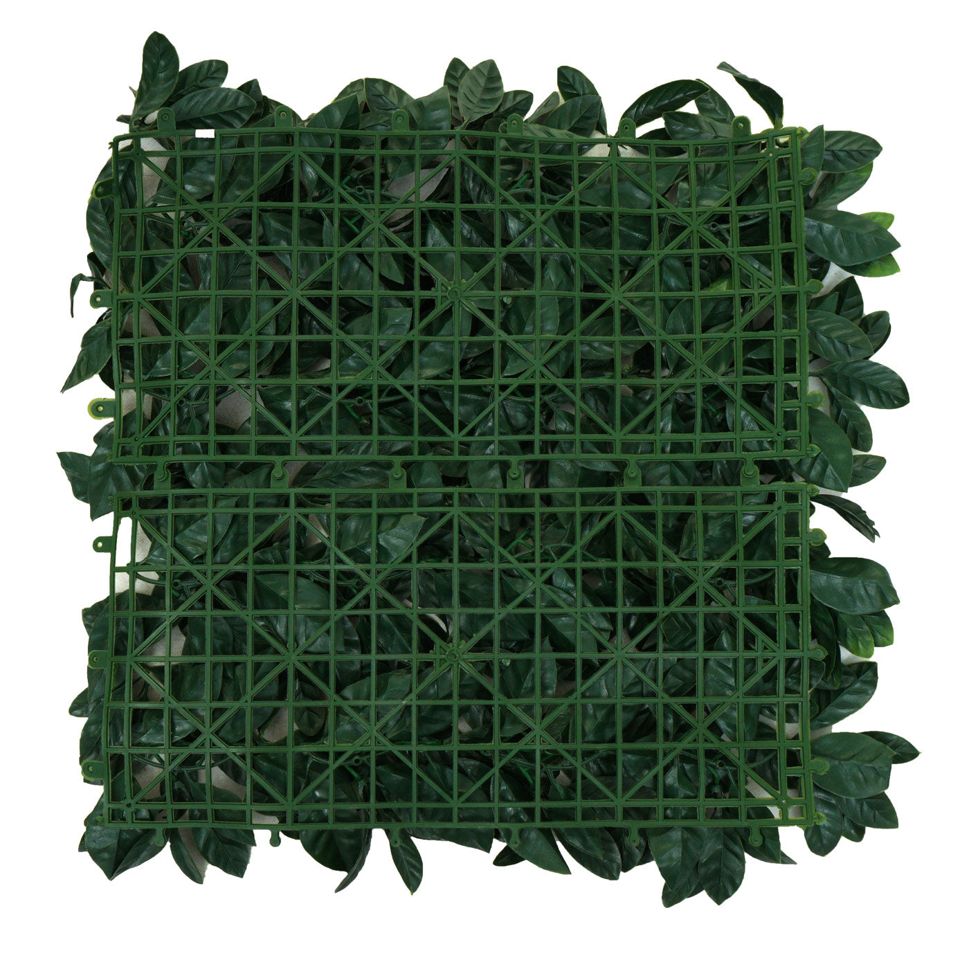 Cosmo Casa - Wandtegel - Privacyscherm terrasbalkon - Kunststof - Lauriergroen - 4×50×50 cm (1 m)