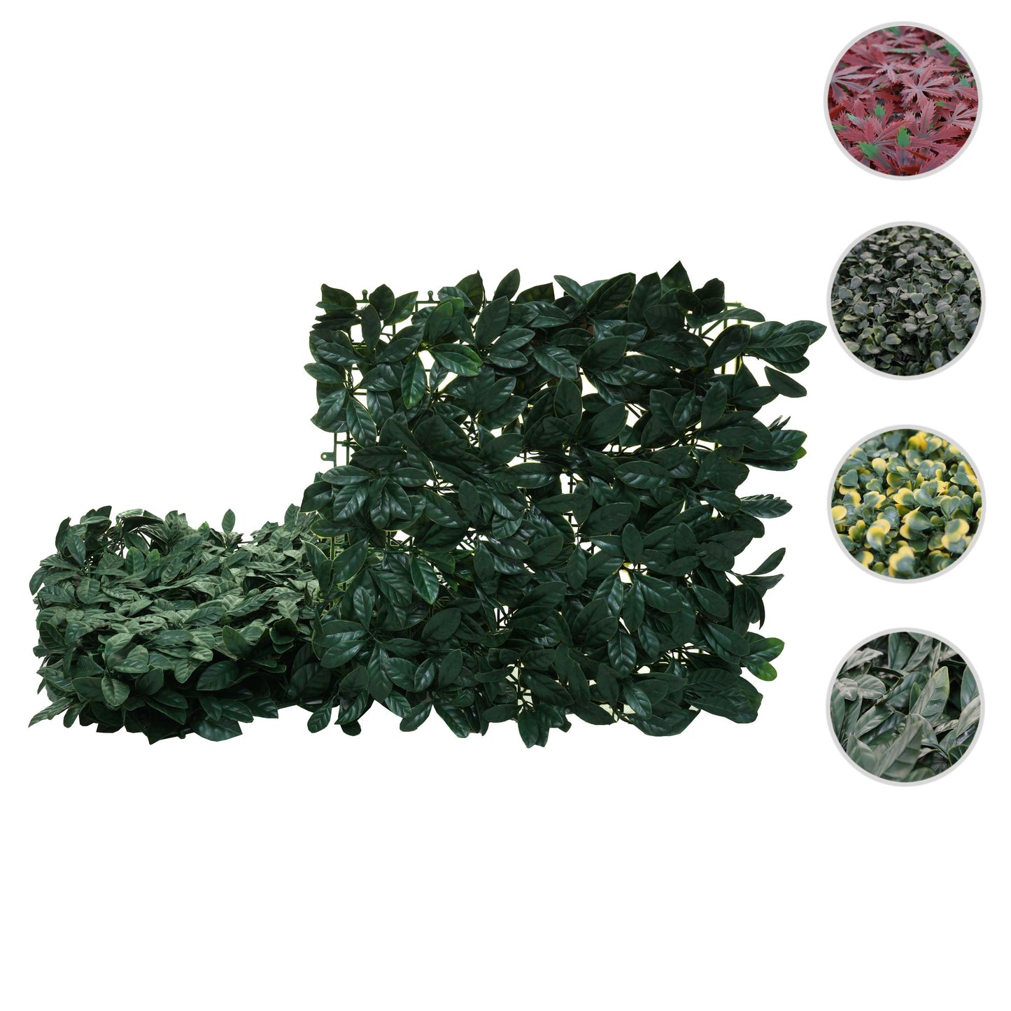 Cosmo Casa - Wandtegel - Privacyscherm terrasbalkon - Kunststof - Lauriergroen - 4×50×50 cm (1 m)