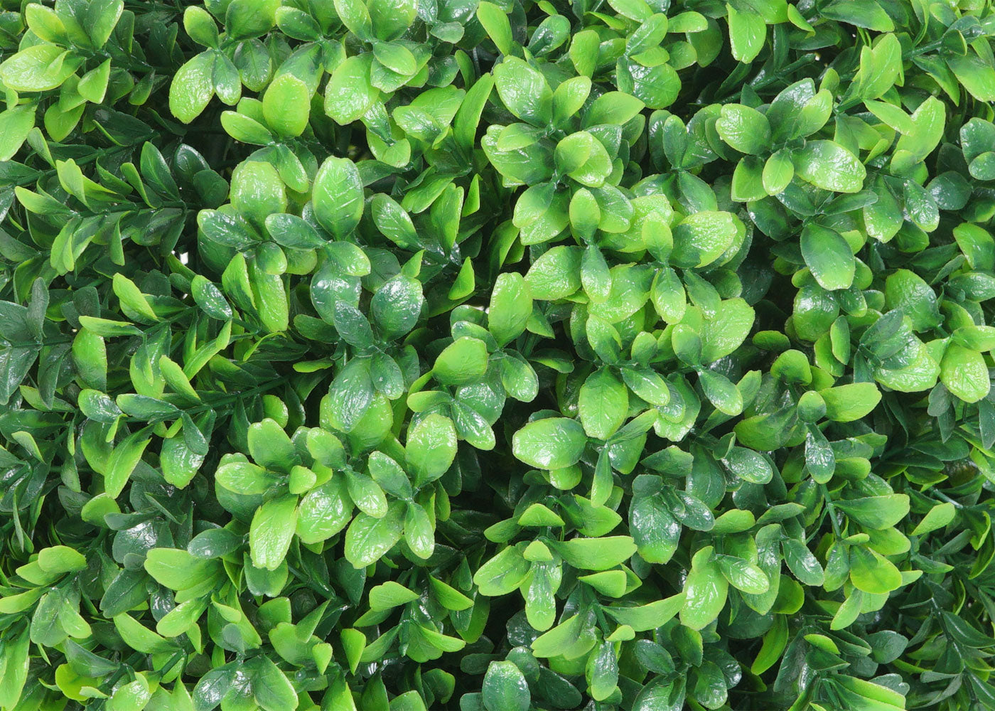 Cosmo Casa - Kunststruik - Decoratieve buxusbal - Kunststof - Groen - 35 cm