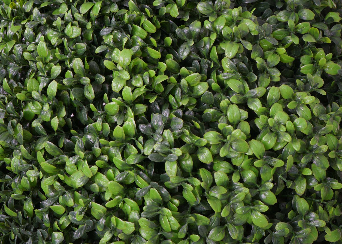 Cosmo Casa - Kunststruik - Decoratieve buxusbal - Kunststof - Groen - 55 cm