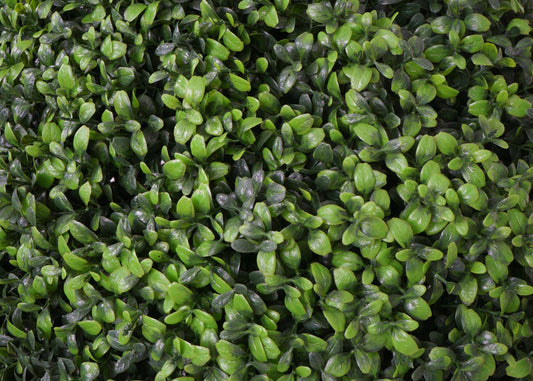 Cosmo Casa - Kunststruik - Decoratieve buxusbal - Kunststof - Groen - 55 cm