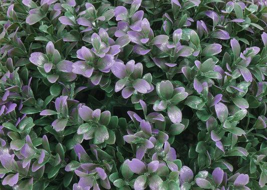 Cosmo Casa - Kunststruik - Decoratieve buxusbal - Kunststof - Paars - 35 cm