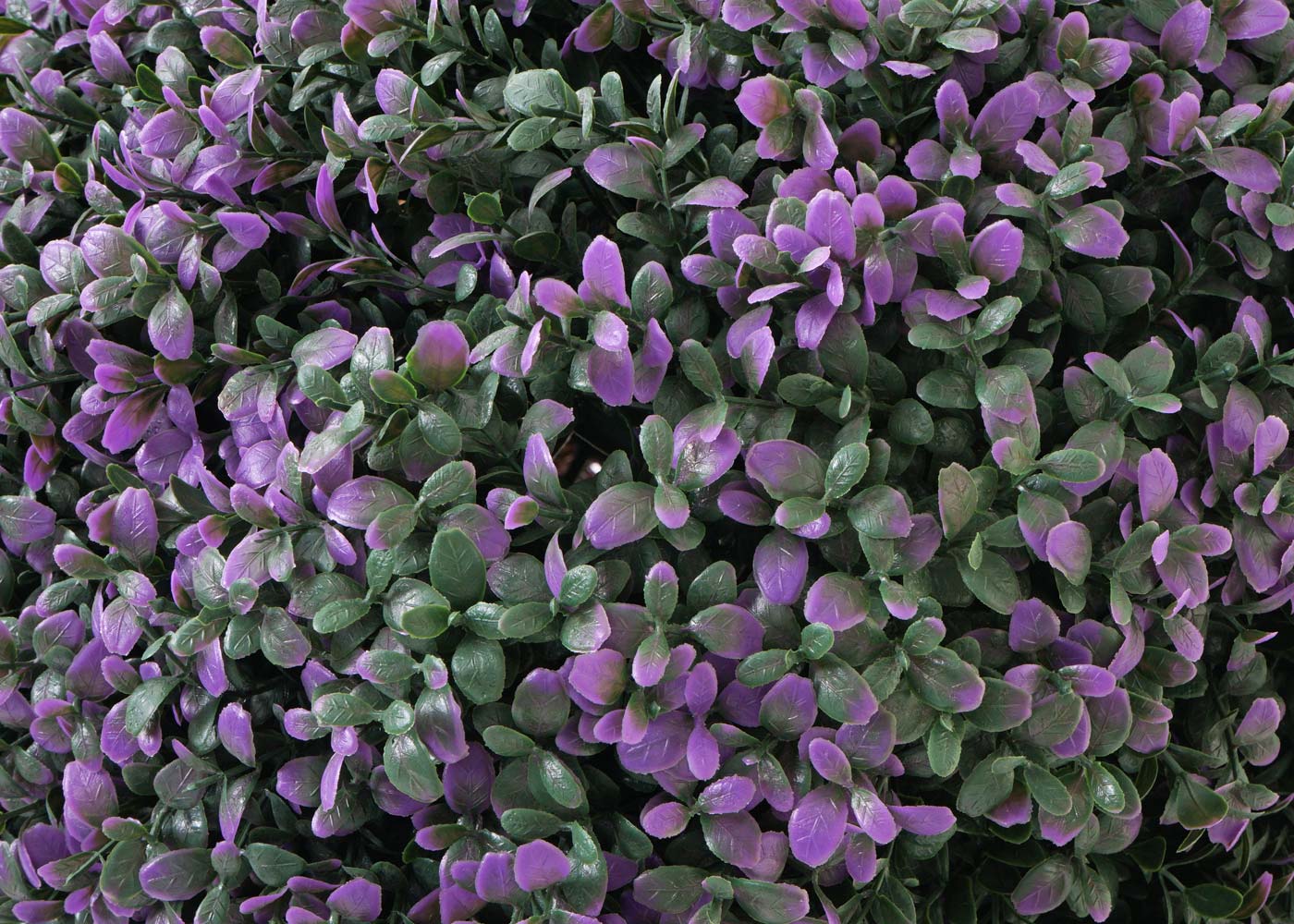 Cosmo Casa - Kunststruik - Decoratieve buxusbal - Kunststof - Paars - 55 cm