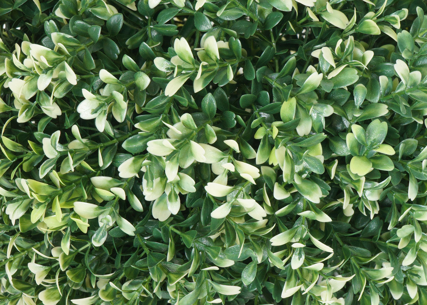 Cosmo Casa - Kunststruik - Decoratieve buxusbal - Kunststof - Wit - 35 cm