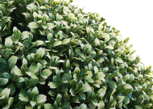 Cosmo Casa - Kunststruik - Decoratieve buxusbal - Kunststof - Wit - 35 cm