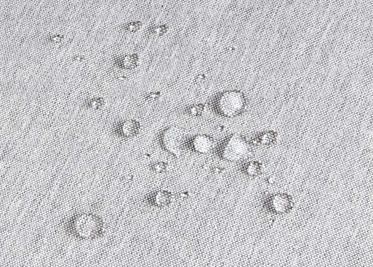 Cosmo Casa - Set van 2 Buitenfauteuils - Weerbestendig Touwgaas - Acaciahout - Lichtgrijze Kussens - Lichtgrijs Frame