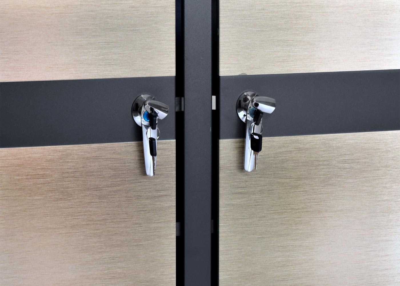 Cosmo Casa - Set van 4 Vuilnisbakbekleding - Uitbreidbaar - Metaal - Antraciet-Goud