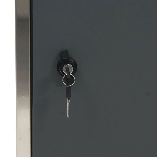 Cosmo Casa - Pakketbus staande brievenbus maat XL - Pakketbrievenbus - RVS - Antraciet