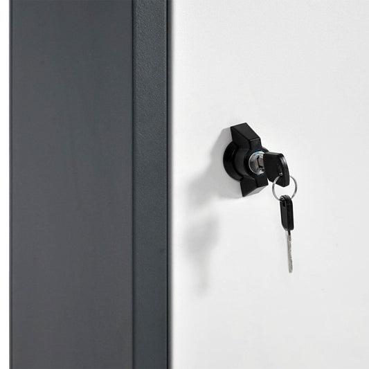 Cosmo Casa - Pakketbus staande brievenbus maat XL - Pakketbrievenbus - Gegalvaniseerd - Antraciet-wit