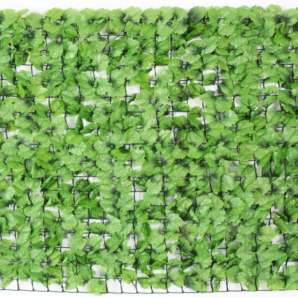 Cosmo Casa - Privacyscherm - Windwerend - Textiel - Platte plaat - 500×100 cm