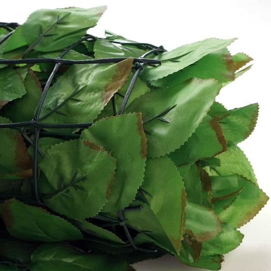 Cosmo Casa - Privacyscherm - Windwerend - Textiel - Naturel - 500×100 cm