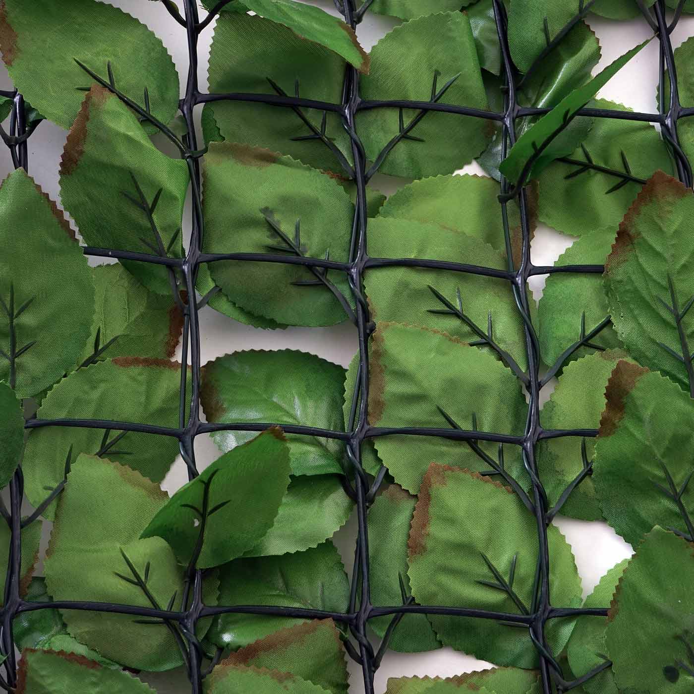 Cosmo Casa - Privacyscherm - Windwerend - Textiel - Naturel - 500×150 cm