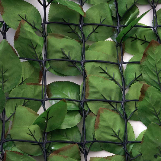 Cosmo Casa - Privacyscherm - Windwerend - Textiel - Naturel - 500×150 cm